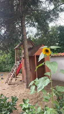 a tree house with a slide in front of a tree at Penzion Troníček in Kamenný Přívoz