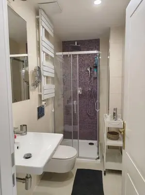 a bathroom with a shower and a toilet and a sink at Studio with balcony in Vinohrady in Prague