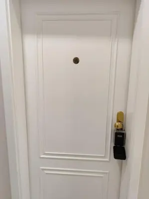 a white door with a knob on it at Studio with balcony in Vinohrady in Prague