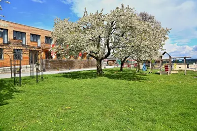 a tree in the middle of a yard with a playground at Pension Jezerná in Zduchovice