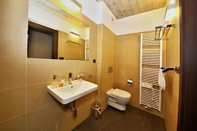 a bathroom with a sink and a toilet at Pension Jezerná in Zduchovice