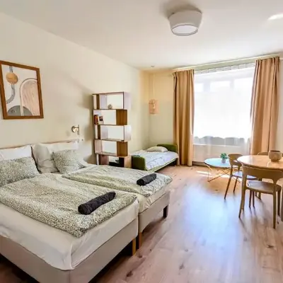 Apartment in Zizkov -504-