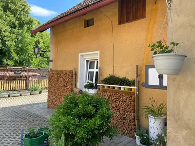a house with potted plants on the side of it at Ubytování u babičky in Peruc