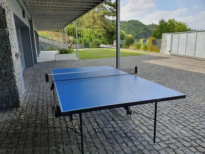 a blue ping pong table sitting outside of a building at Pláž Hrdlička in Buš