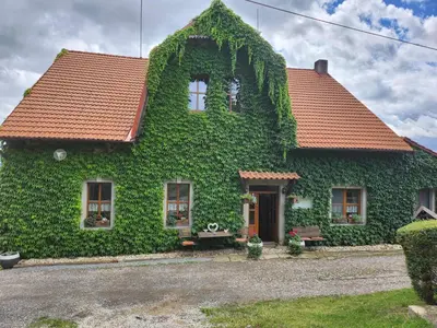 a house covered in green ivy at Hospůdka Na Trucovně in Sázava