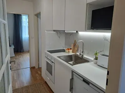a white kitchen with a sink and a stove at Apartmánový dům se zahradou v klidné části Prahy in Prague