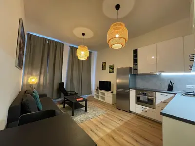 a kitchen and living room with a couch and a table at Andrews Cosy Apartment in Prague