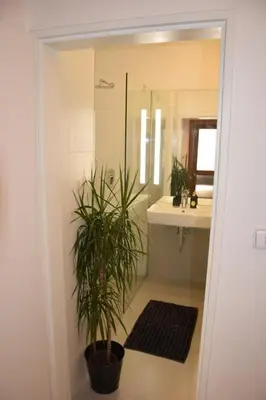 a bathroom with a shower and a potted plant at Apartment DeLuxe in Prague
