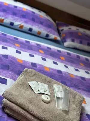 a pile of towels and money on a bed at Penzion Arendel in Líšnice