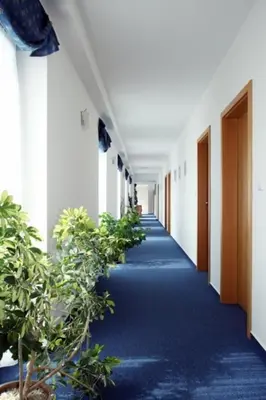 a corridor of an office building with potted plants at Hotel U Karla in Prague