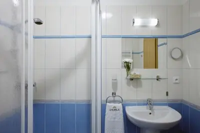 a blue and white bathroom with a sink and a shower at Hotel U Karla in Prague