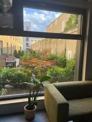 a window with a couch and a plant in front of it at Cool place in Prague