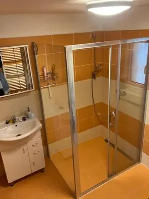 a bathroom with a shower and a sink at Vila v Brdech s bazénem, infra saunou a vybavením in Malá Víska