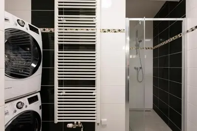 a bathroom with a washer and dryer next to a shower at Cozy Studio in quiet courtyard near Charles Bridge in Prague