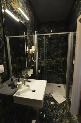 a bathroom with a sink and a shower at Elodia in Choťánky