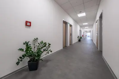 an empty corridor in an office building with a plant at Penzion BIG HOUSE in Prague