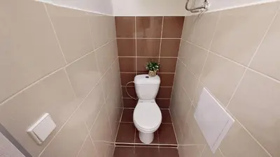 a bathroom with a toilet with a plant on it at Viaducto de Karlín - Aparment in Prague