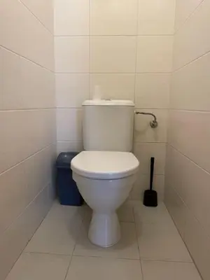 a bathroom with a white toilet in a room at 1 Bed Flat - Sleeps 2 - Pets - Wifi in Prague