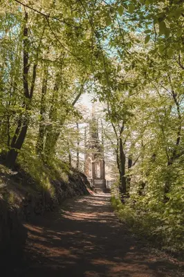 a dirt road with trees and a building in the distance at Domeček na Květinovém statku in Zdice