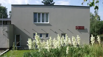 a house with white flowers in front of it at DIVADELNÍ PENZION in Bukovany