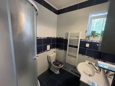 a bathroom with a toilet and a sink at Báječné ubytování ve vile s bazénem a terasou v praze in Prague