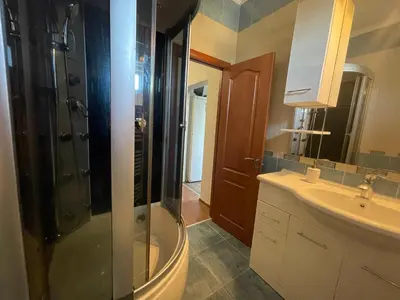 a bathroom with a shower and a sink at Báječné ubytování ve vile s bazénem a terasou v praze in Prague