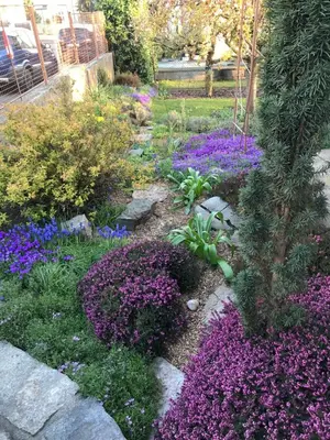 a garden with purple flowers in a yard at Apartment Garden in Prague
