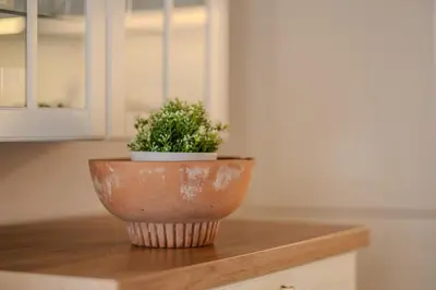 a plant in a pot on top of a counter at Charles Bridge Prague Apartment in Prague