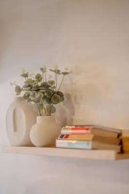 a plant in a vase sitting on a shelf with books at Charles Bridge Prague Apartment in Prague