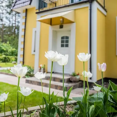 a group of white flowers in front of a house at Vila u Prahy,v prirode,jezero Lhota in Lhota