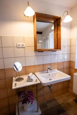 a bathroom with a sink and a mirror at Boutique Apartmán Speicher in Prague