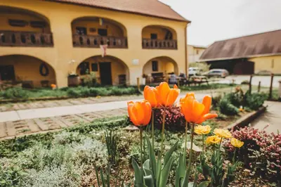 a garden with orange flowers in front of a building at Boutique Apartmán Speicher in Prague