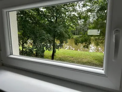 a window with a view of a tree at Zahradní dům in Prague