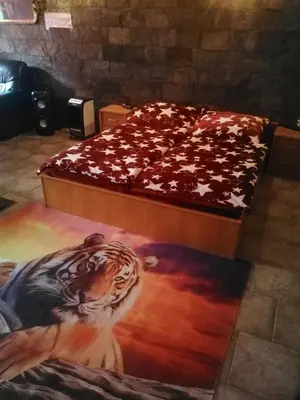 a bedroom with a bed with a tiger painted on it at Vila Barrandov in Prague