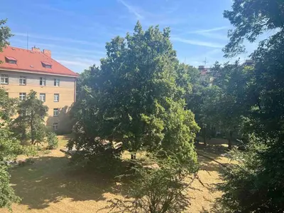 a large tree in front of a building at Artistic apartment with a balcony in Prague