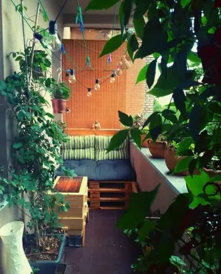 a room with a couch and lots of plants at Artistic apartment with a balcony in Prague
