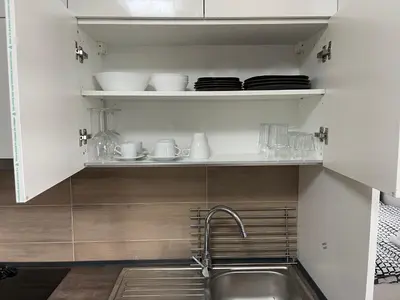 a kitchen with a sink and a shelf with dishes at Studio Prosek in Prague
