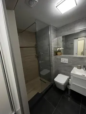 a bathroom with a shower and a toilet and a sink at Studio Prosek in Prague