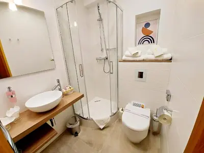 a bathroom with a shower and a toilet and a sink at Solitaire in Poděbrady