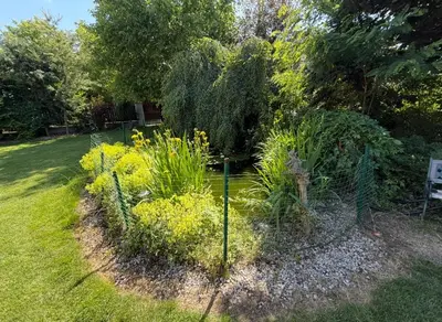 a garden with yellow flowers in a yard at Vila Berlin in Prague