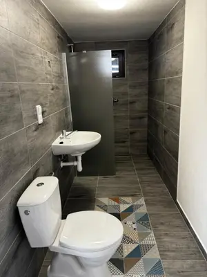 a bathroom with a toilet and a sink at Chatka Jägerhaus K myslivně 26 in Libochovice
