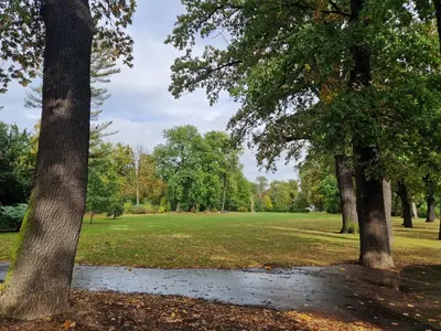 a park with three trees and a field at Cozy Apt Near Prague Castle in Prague
