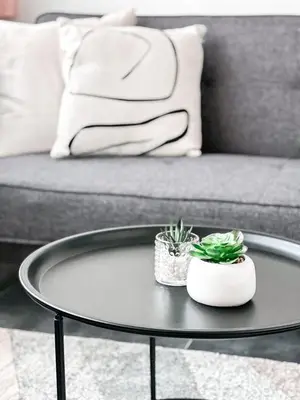 a coffee table with two plants on it in front of a couch at 3 Apartments in 1 location in Prague