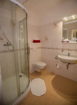 a bathroom with a shower and a toilet and a sink at Hotel Koliba in Litoměřice
