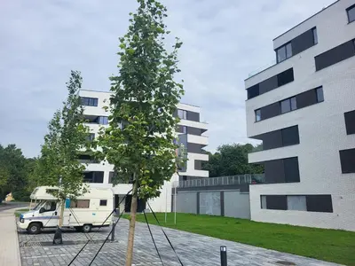 a small tree next to a white van next to a building at New apartment in Karlín, Praha 8, close to center in Prague