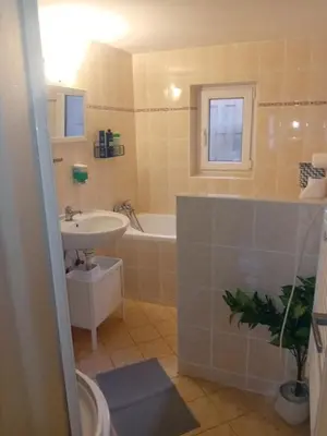 a bathroom with a sink and a bath tub at Rekreační chata Kocába in Štěchovice