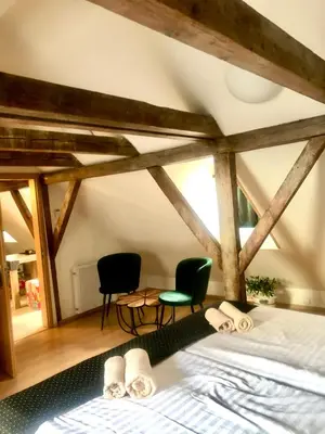 a bedroom with a bed and two chairs in it at U Zeleného jalovce in Prague
