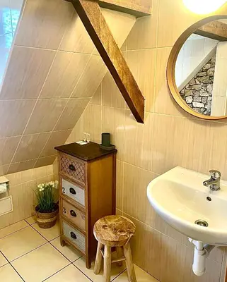 a bathroom with a sink and a mirror at U Zeleného jalovce in Prague