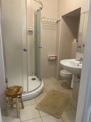 a bathroom with a shower and a toilet and a sink at U Zeleného jalovce in Prague