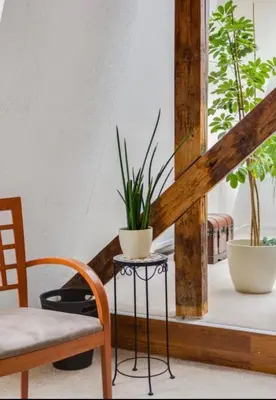 a room with two potted plants and a staircase at Lenka's cozy Red studio + Lenka's cozy Gold apartment in Prague